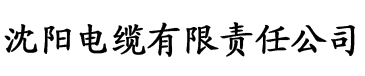 大香蕉久久久影院电缆厂logo